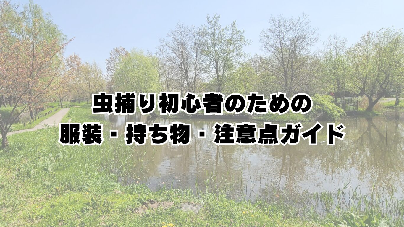 虫捕り初心者のための服装・持ち物・注意点ガイド