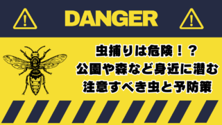 虫捕りは危険！？公園や森など身近に潜む注意すべき虫と予防策